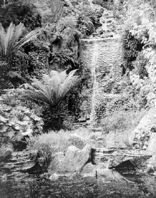 [View of waterfall in Golden Gate Park]