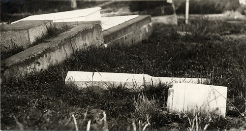 [Overturned gravestones at Laurel Hill Cemetery]