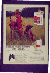 Spend a milder moment with Raleigh