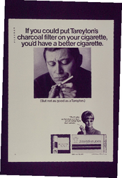 If you could put tareyton's charcoal filter on you cigarette, you'd have a better cigarette