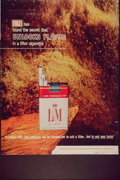 most amount of cigarettes smoked in a day Average number of cigarettes smoked per hour of the day, maximum