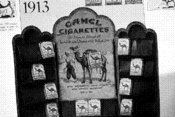 Camel Cigarettes