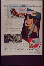 Let Up_light up a Camel!