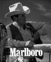 Marlboro