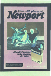 Newport