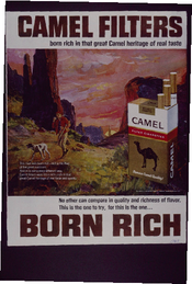 Camel filters Born Rich
