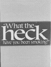 What the HECK have you been smoking?