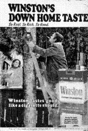 WINSTON'S DOWN HOME TASTE!