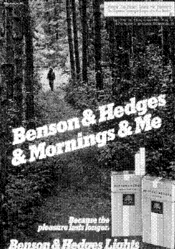 Benson & Hedges & Mornings & Me