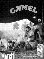 CAMEL