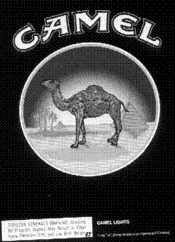 CAMEL