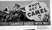 Who's Got A Camel?