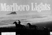 Marlboro Lights