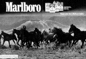 Marlboro You get a lot to like in Marlboro Country