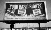 YOUR BASIC RIGHTS