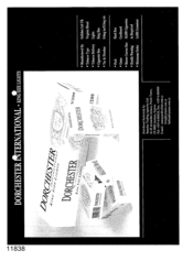 [Dorchester International King Size Lights Cigarettes Marketing Brochure]