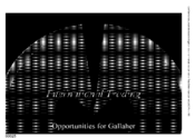 International Trading - opportunities for Gallaher