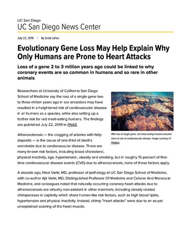 Evolutionary Gene Loss May Help Explain Why Only Humans are Prone to Heart Attacks