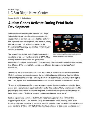 Autism Genes Activate During Fetal Brain Development