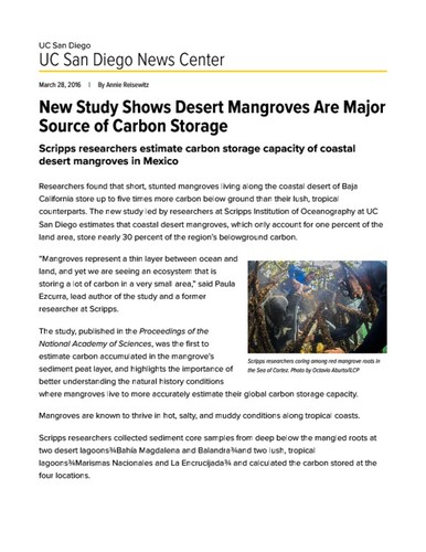 New Study Shows Desert Mangroves Are Major Source of Carbon Storage