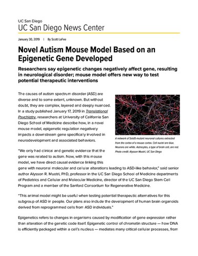 Novel Autism Mouse Model Based on an Epigenetic Gene Developed