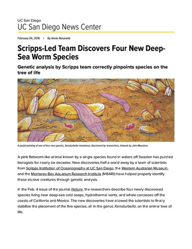 Scripps-Led Team Discovers Four New Deep-Sea Worm Species