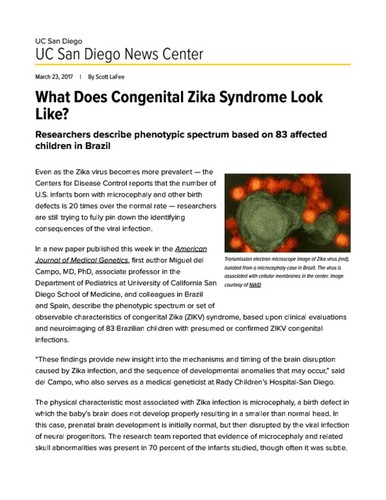 What Does Congenital Zika Syndrome Look Like?