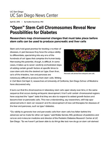 “Open” Stem Cell Chromosomes Reveal New Possibilities for Diabetes