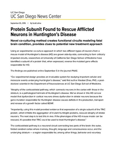 Protein Subunit Found to Rescue Afflicted Neurons in Huntington’s Disease