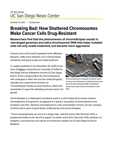 Breaking Bad: How Shattered Chromosomes Make Cancer Cells Drug-Resistant