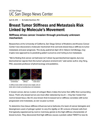 Breast Tumor Stiffness and Metastasis Risk Linked by Molecule’s Movement