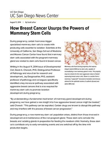 How Breast Cancer Usurps the Powers of Mammary Stem Cells
