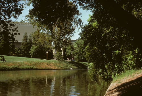 View across Putah Creek, looking north