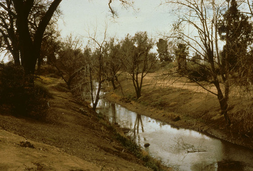 Putah Creek