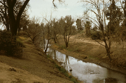 Putah Creek