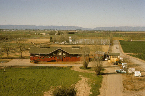 Site prior to Briggs Hall construction