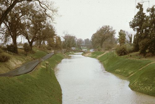 Putah Creek reconstruction