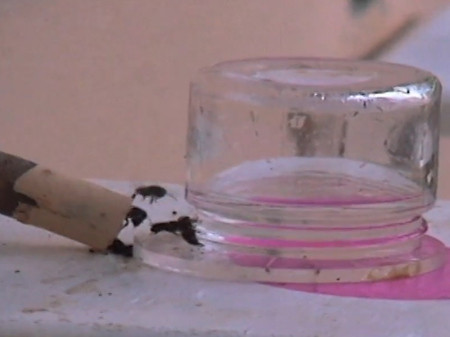 Training Bees to a Feeder