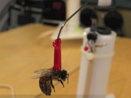 Bee Flight Mill