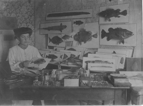 Josefa Sanz, animal handler and conservator at the Marine Biological Station, Santander, Spain