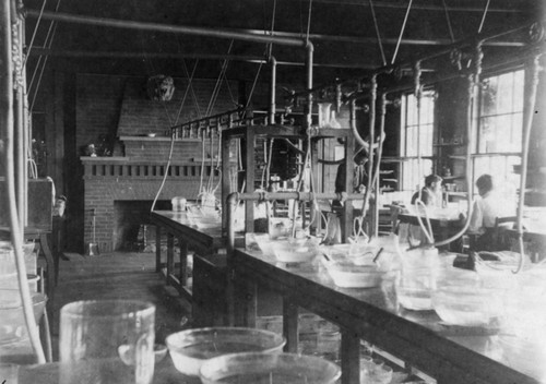 Scientific laboratory, possibly at Harvard University