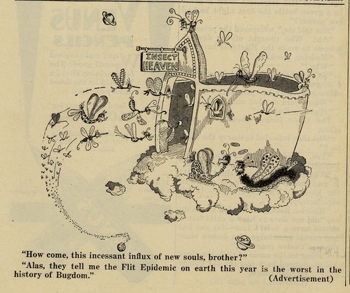 Flit advertisement