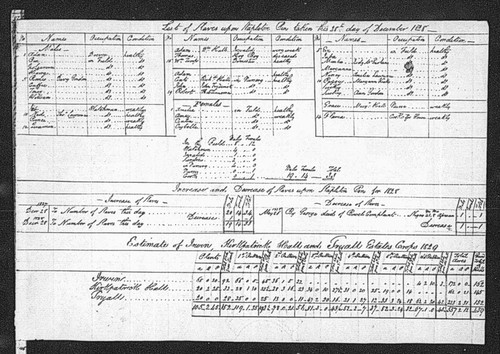 List of slaves upon Irwin Estate