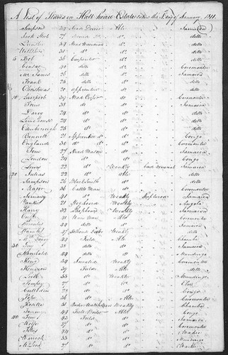 A list of slaves on Hallhead Estate