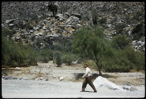 Faustino in Arroyo Paraíso