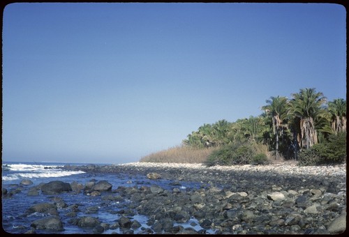 Shore eight miles north of Buserías