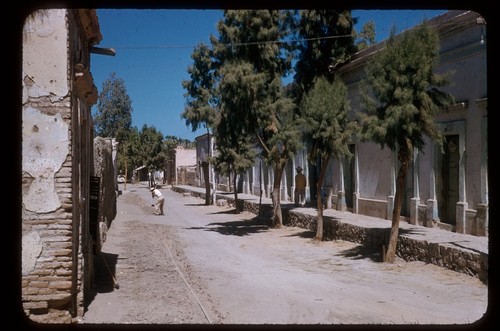 Mulege