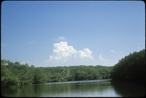 Estero San Cristóbal, northeast of San Blas