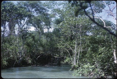 Estero at Los Cocos beach