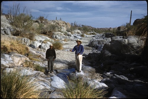 Waterhole 1.6 miles downstream from Las Arrastras